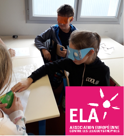 Read more about the article ELA